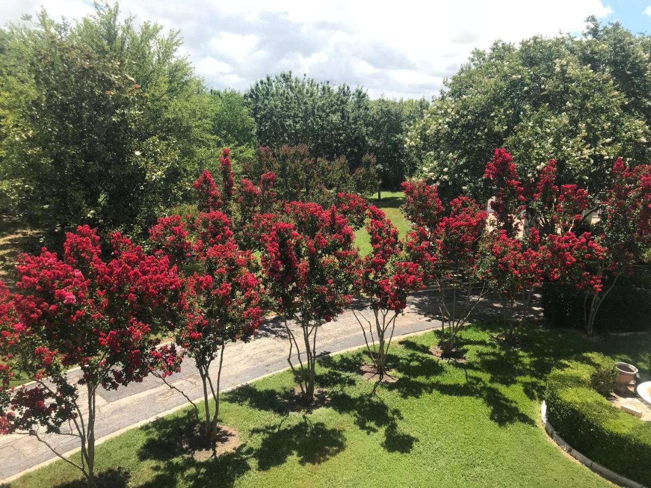 The Plantation House Boutique Inn Pflugerville Buitenkant foto